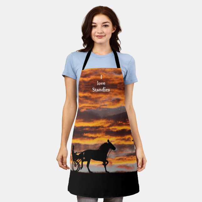 Standardbred Trotting Racehorse Apron (Worn)