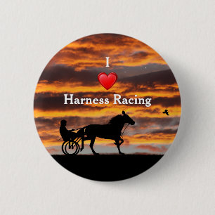 Standardbred Trottring Racehorse Pin Button