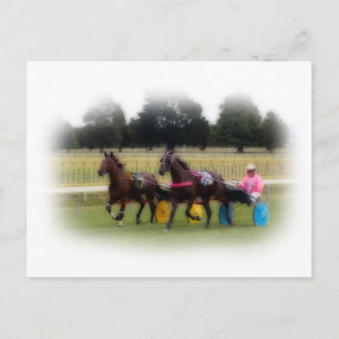 Standardbreds at the Racetrack Postcard