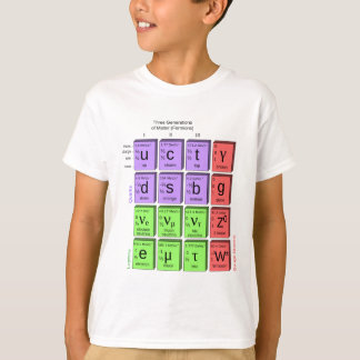 Standart model of elementary particles T-Shirt