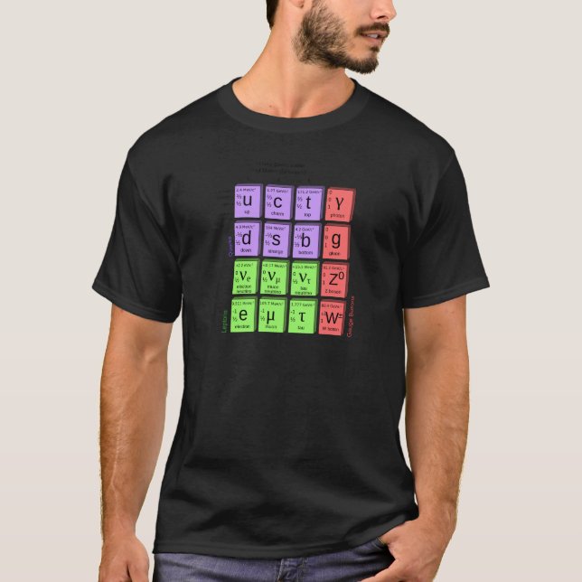 Standart model of elementary particles T-Shirt (Front)