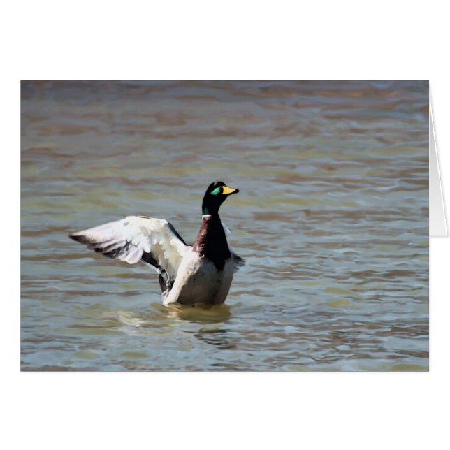 Standing Bear Lake Single Mallard (Front Horizontal)