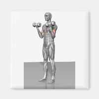 Standing Biceps Curl 2