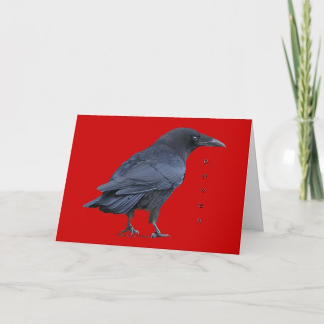 Standing Black Raven Art Collectable Cards (Front)