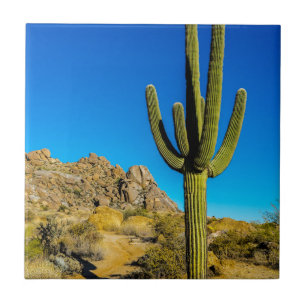 Standing Cactus Ceramic Tile