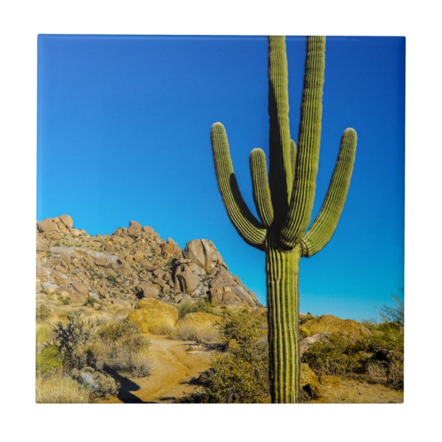 Standing Cactus Ceramic Tile (Front)