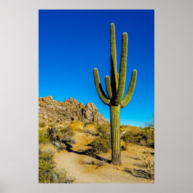 Standing Cactus Poster (Front)