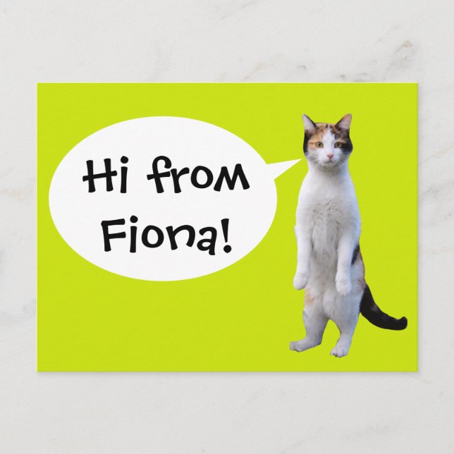 Standing Cat Custom Message Fun Postcard (Front)