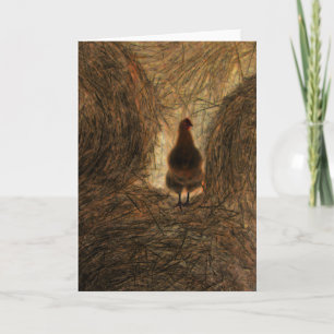 "Standing" - Digitally Transformed Chicken on Hay Card