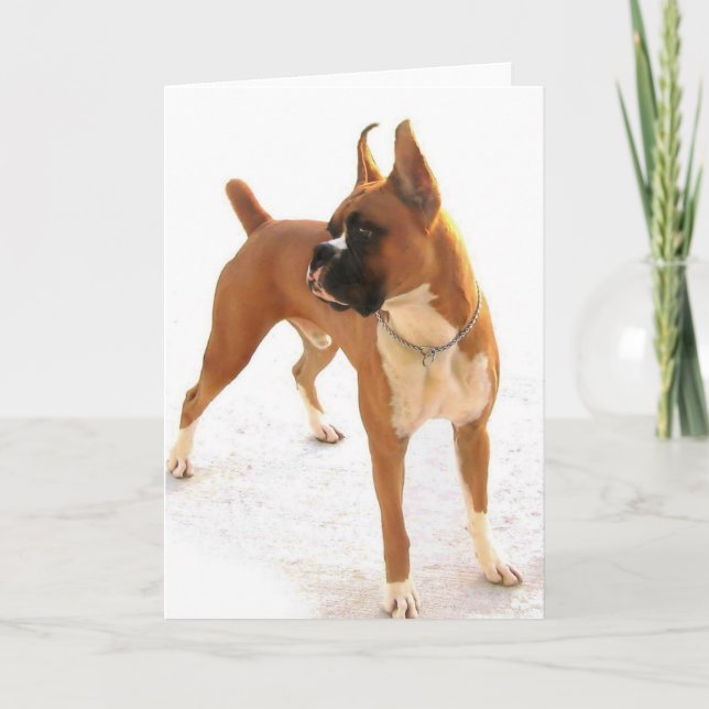Standing fawn boxer greeting card (Front)