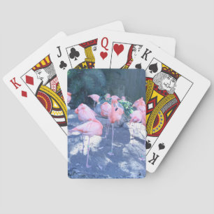 Standing Flamingo Playing Cards