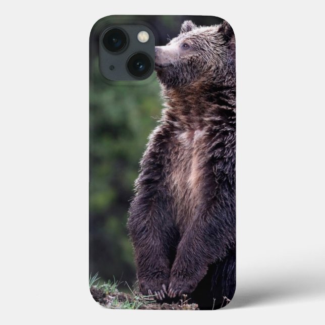 Standing Grizzly Bear Case-Mate iPhone Case (Back)