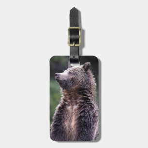 Standing Grizzly Bear Luggage Tag