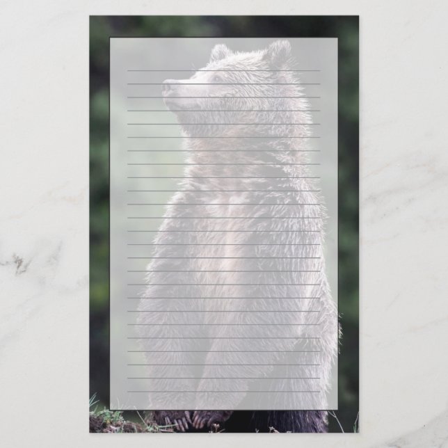Standing Grizzly Bear Stationery (Front)