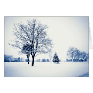 Standing In The Snow