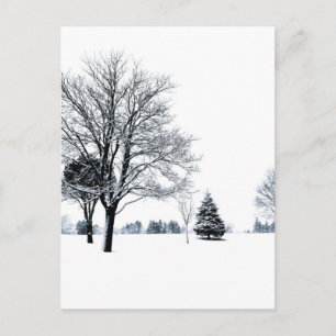 Standing In The Snow Postcard
