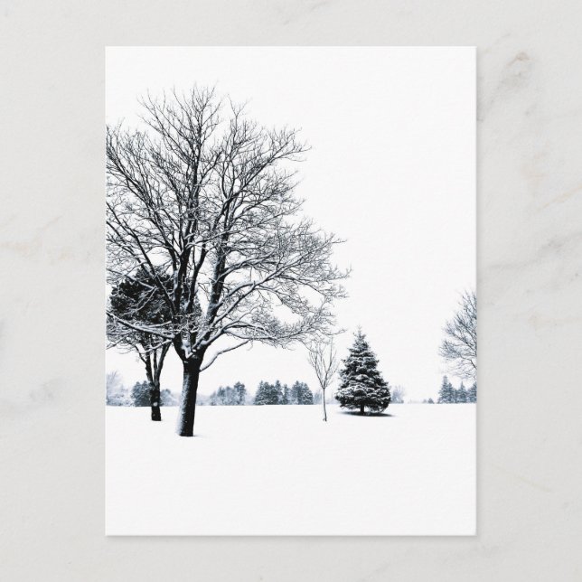 Standing In The Snow Postcard (Front)