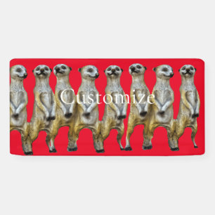 Standing Meerkats Thunder_Cove  Banner