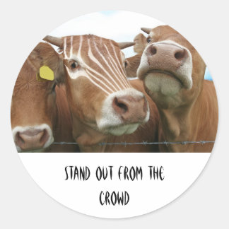 Standing out from the Crowd Classic Round Sticker