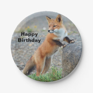 Standing Red Fox Birthday Paper Plate
