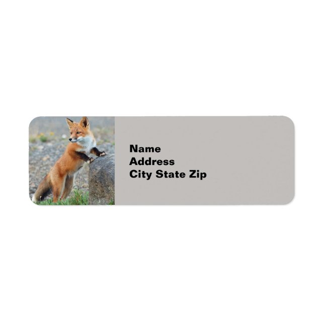 Standing Red Fox Return Address Label (Front)