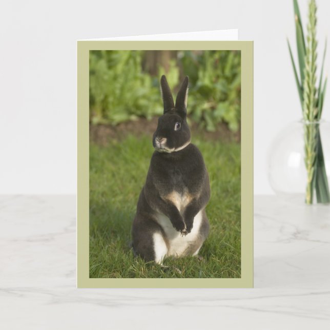 Standing Rex Rabbit Card (Front)