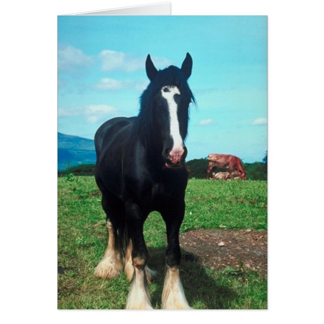 Standing Shire (Front)