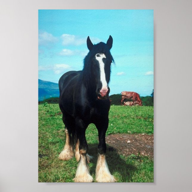 Standing Shire Poster (Front)