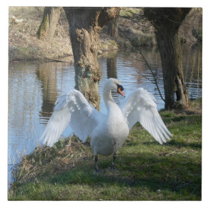Standing Swan with Spread Wings Ceramic Tile