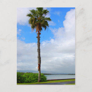 "Standing Tall" postcard