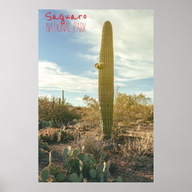 Standing Tall Poster (Front)