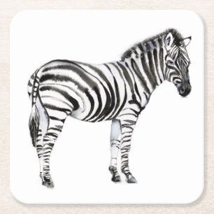 Standing Zebra Square Paper Coaster