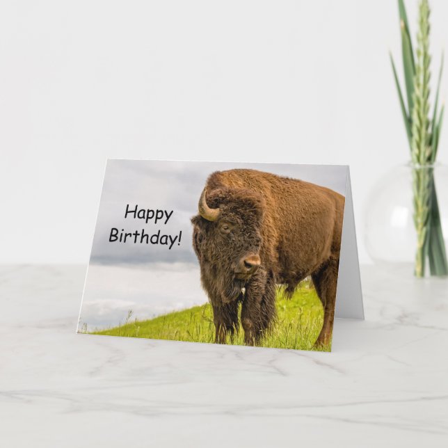 Stands Out From the Herd Birthday Card (Front)