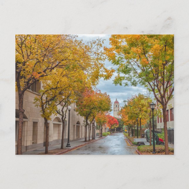 Stanford University Campus in Autumn Postcard (Front)