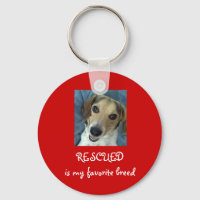 Stanley Arnold Key Chain!