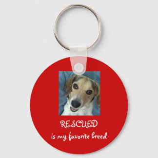 Stanley Arnold Key Chain! Ring