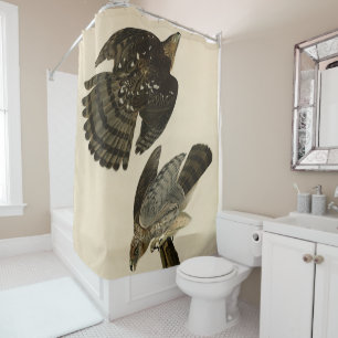 Stanley (Cooper's) Hawk Audubon's Birds of America Shower Curtain
