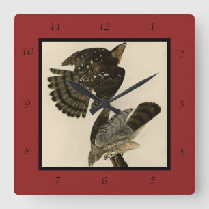 Stanley (Cooper's) Hawk Audubon's Birds of America Square Wall Clock