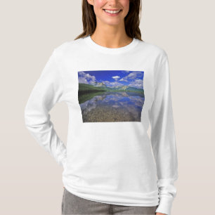Stanley Lake in the Sawtooth Mountains of Idaho T-Shirt