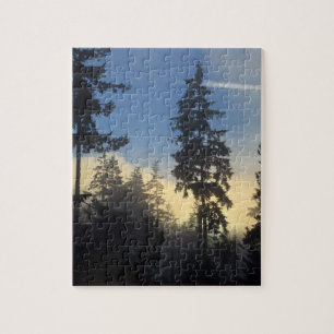 Stanley Park, woods, marine layer fog rolling in Jigsaw Puzzle