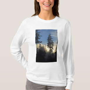 Stanley Park, woods, marine layer fog rolling in T-Shirt
