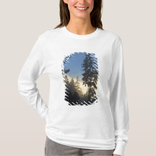 Stanley Park, woods, marine layer fog rolling in T-Shirt