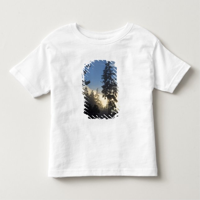 Stanley Park, woods, marine layer fog rolling in Toddler T-Shirt (Front)