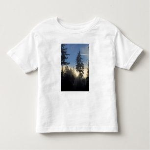 Stanley Park, woods, marine layer fog rolling in Toddler T-Shirt