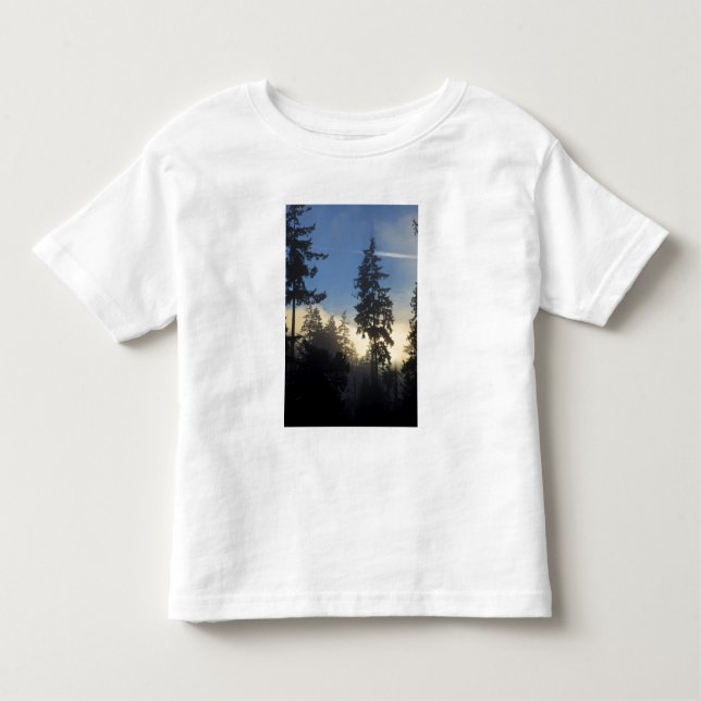 Stanley Park, woods, marine layer fog rolling in Toddler T-Shirt (Front)