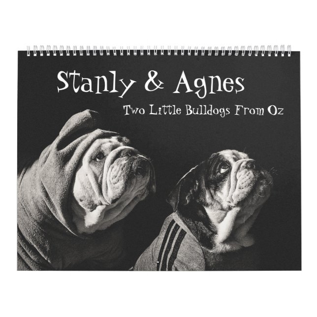 Stanly & Agnes - Two Little Bulldogs From Oz Calendar (Cover)