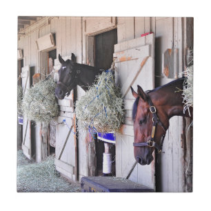 Stanwyck by Empire Maker Ceramic Tile