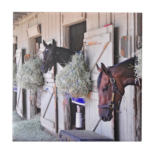 Stanwyck by Empire Maker Ceramic Tile (Front)