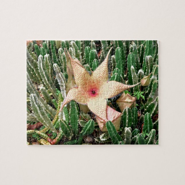 Stapelia Starfish Cactus Flower Photo Jigsaw Puzzle (Horizontal)