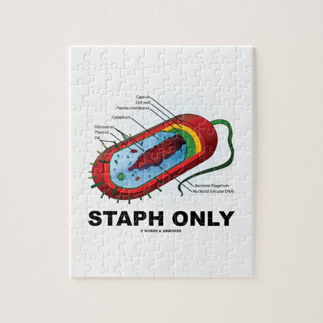 Staph Only (Bacterium Diagram Prokaryote Bacteria) Jigsaw Puzzle (Vertical)
